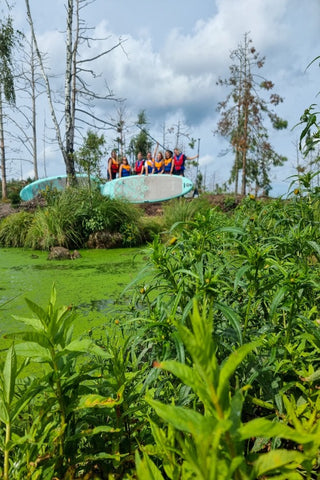 LATVIAN JUNGLE TOUR WITH PADDLE BOARD