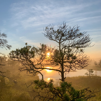 SUNRISE BOGSHOEING AND PICNIC