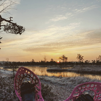 SUNRISE BOGSHOEING AND PICNIC