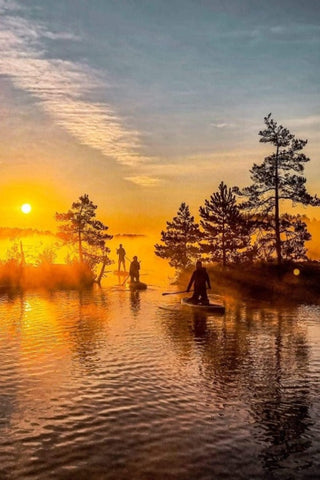 SUNRISE PADDLE BOARD TOUR IN SWAMP